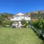 Rejan 게스트하우스 3*