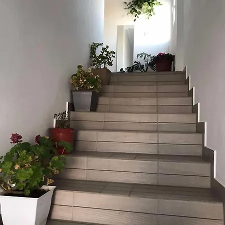 Rejan Guest house *